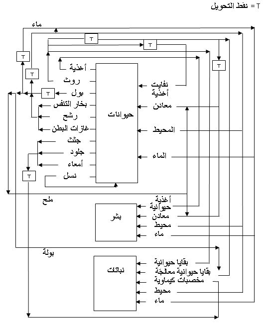 ينتجها في احد ينتج عدد بالمعدة في إذا دقيقة ما 114 15 استمر دقائق لنفسه التي القطع 6 قطعة العمال ينتج أحد