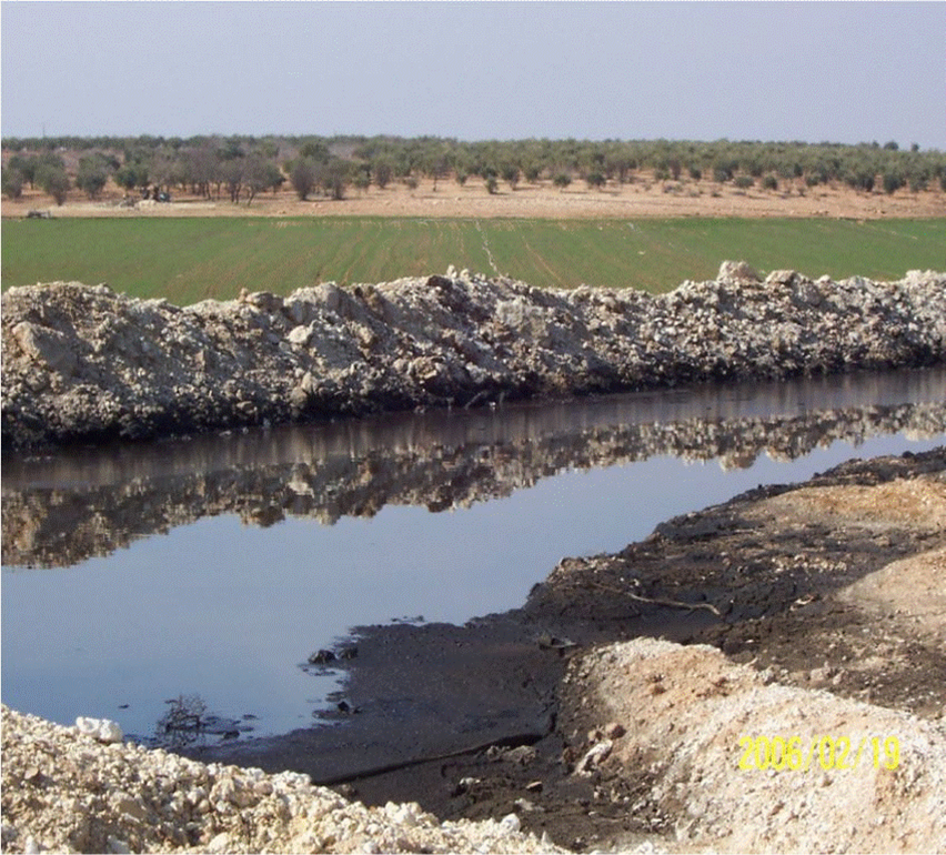 contaminació per oliasses